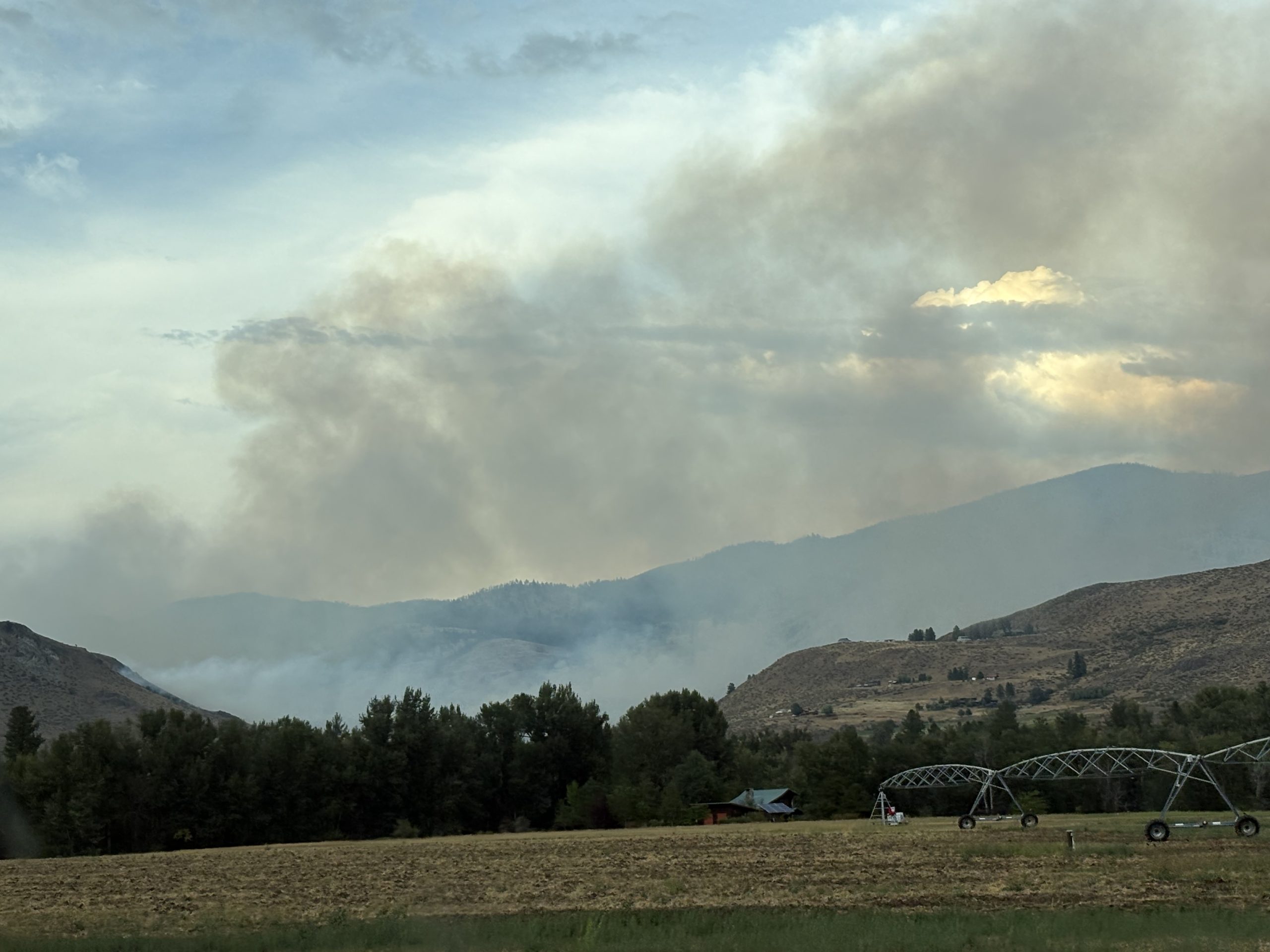 Stud Horse Fire 3