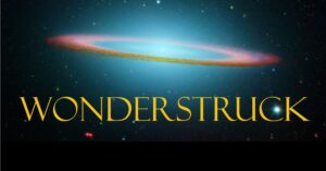 Wonderstruck: Serendipity, Synchronicity, and the Metaphysics of Physics