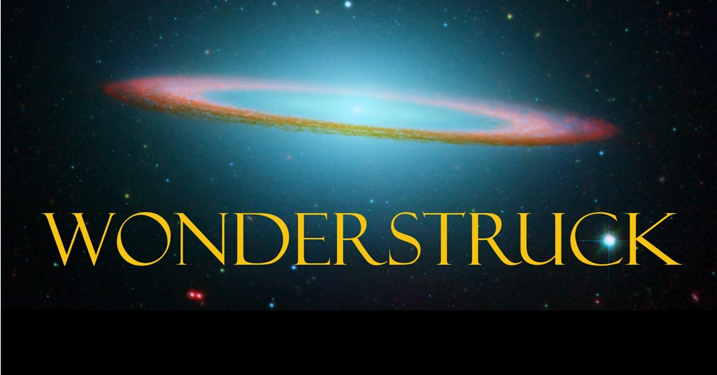 Wonderstruck: Serendipity, Synchronicity, and the Metaphysics of Physics